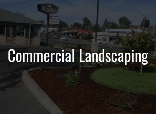 commercial landscaping