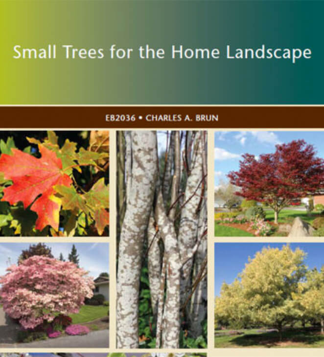 Small Trees Guide cover