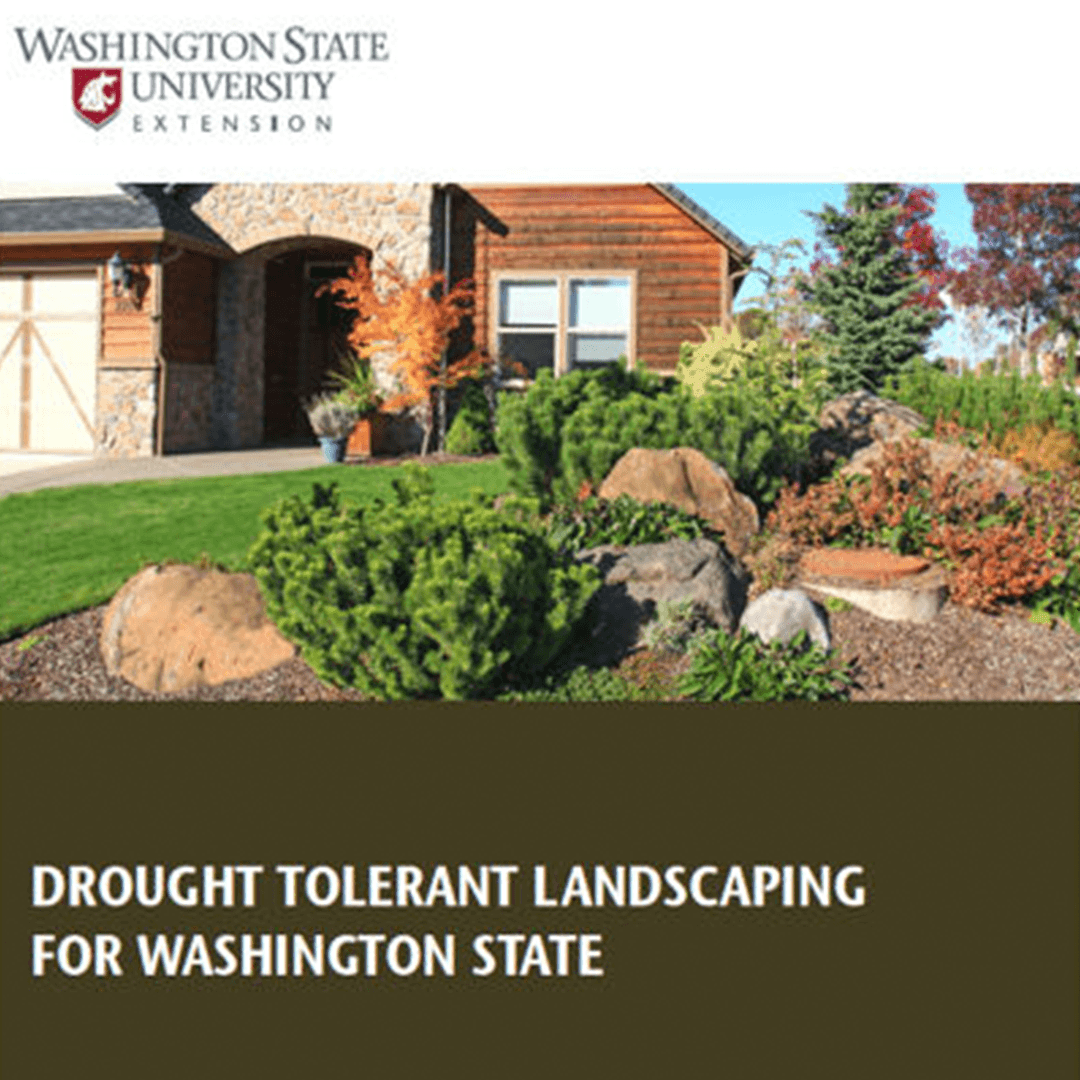 drought tolerant landscaping for Washington State cover