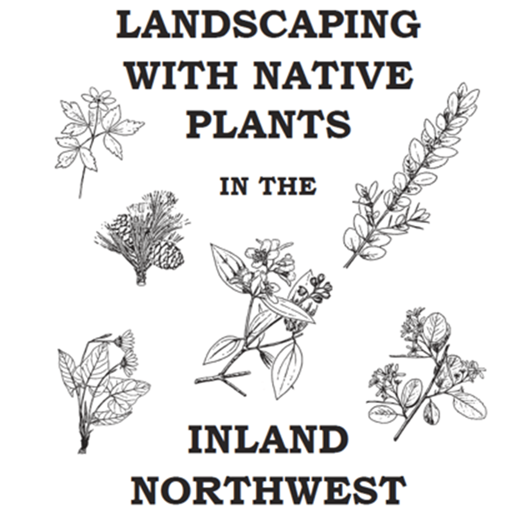 landscaping with native plants cover