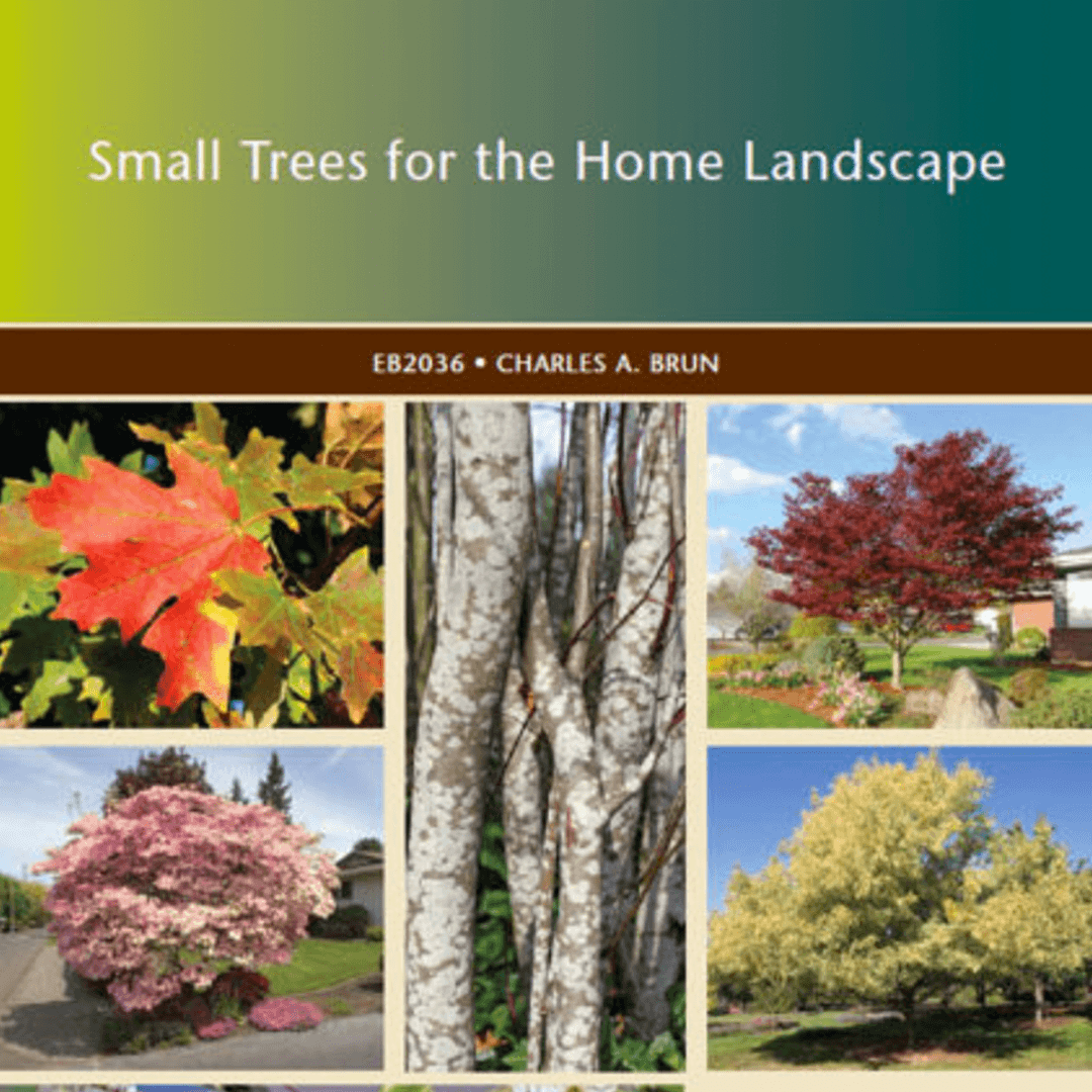 Small trees for the home landscape cover