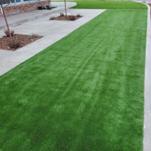 artificial turf in yard
