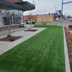 artificial turf on street
