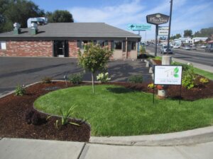 commercial landscaping project