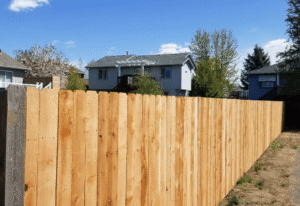 Cedar fencing