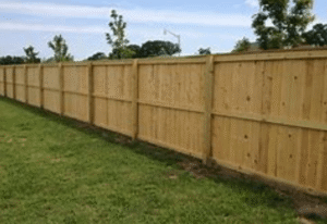 Cedar fencing