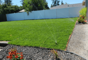 irrigation system in yard