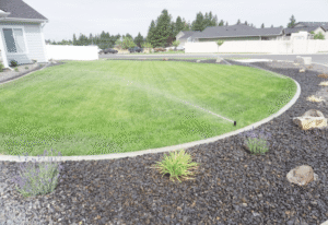 irrigation system in yard