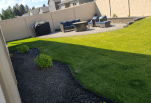 irrigation system in yard