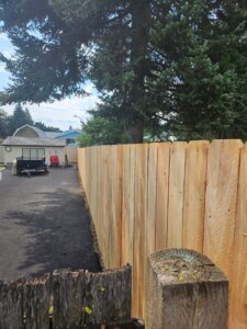 cedar fence