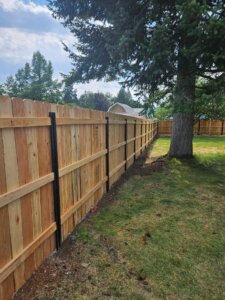 cedar fence
